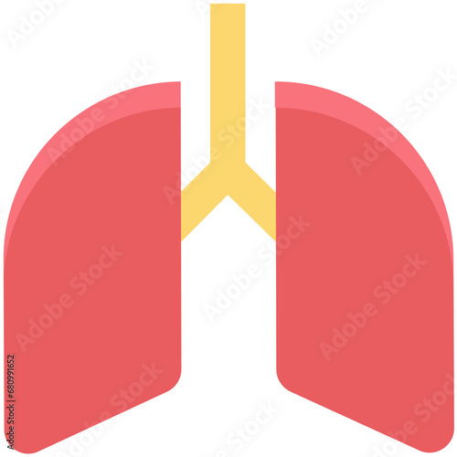 Lungs
