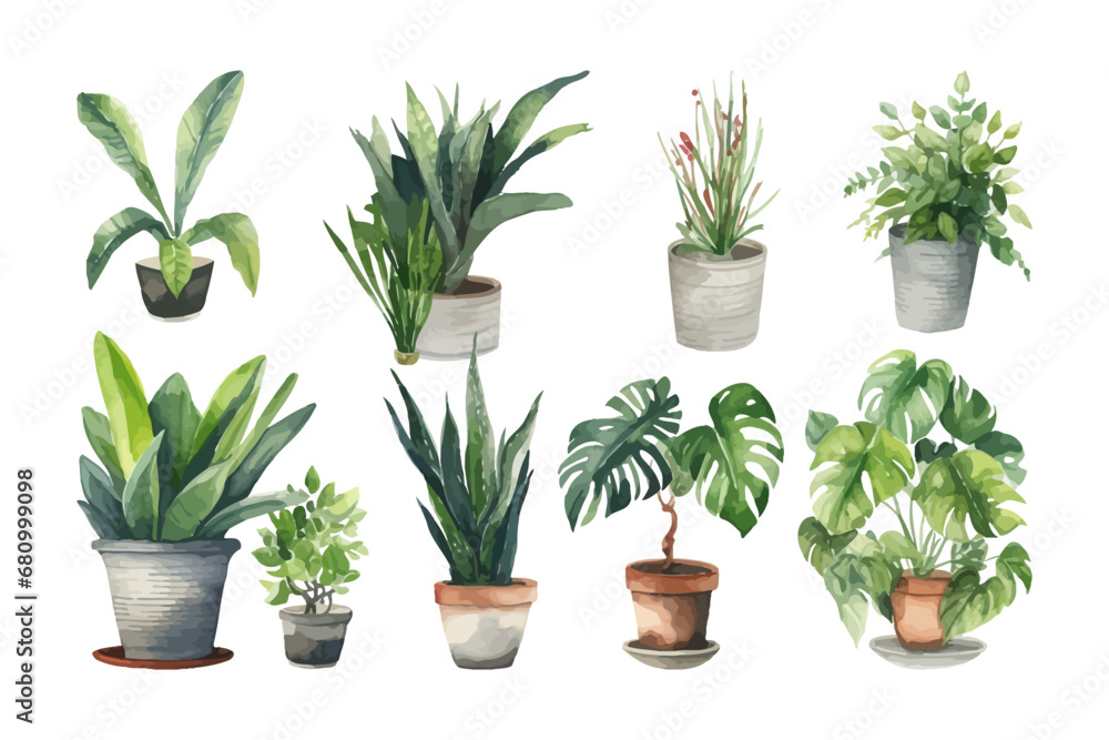 Watercolor flowerpot collection. Home plants vector illustration.