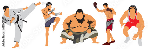 illustration of a silhouette of a marital arts fighters  