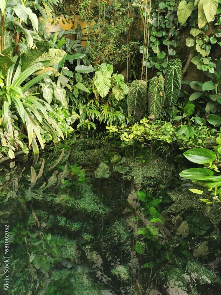 tropical green jungle
