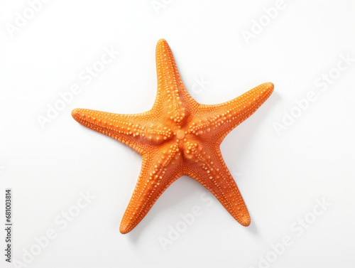 Starfish Studio Shot Isolated on Clear White Background, Generative AI