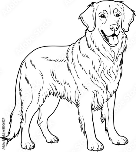 Golden Retriever outline illustration