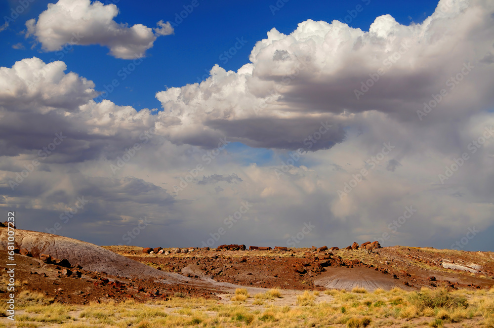 Rugged and Desolate Landscape Petrified Forest Arizona