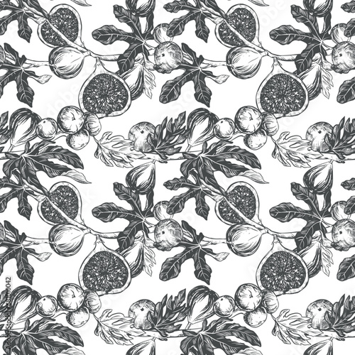 Figs seamless pattern. Vector hand drawn illustration on white background. Botanical fruit sketch texture. Graphic old print, engraving technique. Design for fabric, wrapping paper, wallpaper.