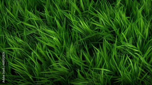 Green grass seamless texture on striped sport field. Astro turf pattern. Carpet or lawn top view. Baseball, soccer, football or golf game. Fake plastic or fresh ground for game play
