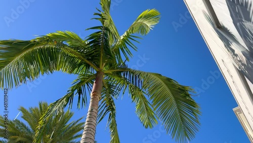 Shopping on Rodeo Drive in Beverly Hills - travel photography