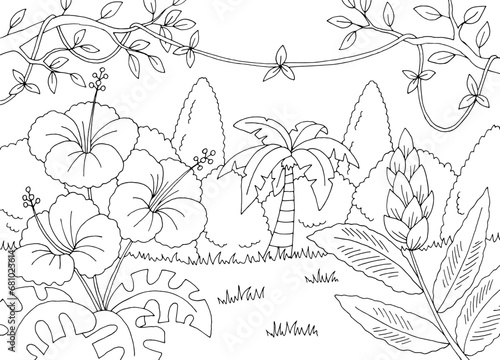 Flower in the jungle rain forest graphic black white landscape sketch illustration vector