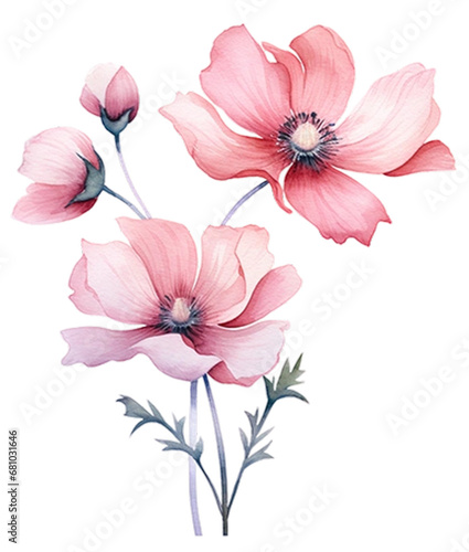 Pink Orchid watercolor flower on white background. Tropical flowers isolated Floral elements collection sets, bundles, bouquets with wildflowers, a bird on flowers