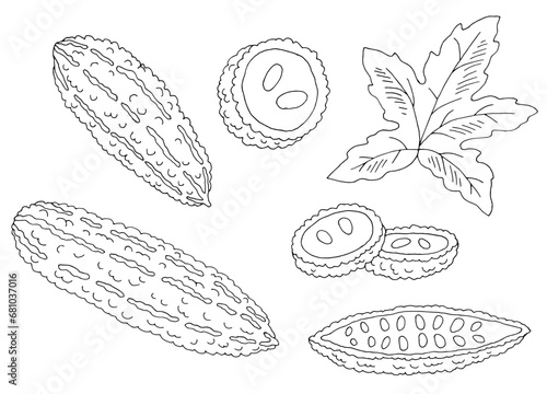 Bitter gourd Goya green cucumber graphic black white isolated sketch illustration vector