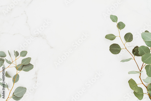 Empty white copy space and green eucalyptus branches on white marble table background