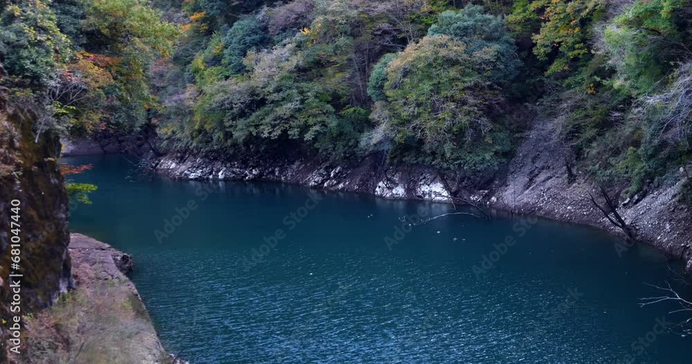 A view of the dam covered with trees. A view of the dam covered with trees.
