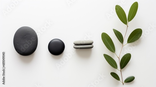  a group of three rocks sitting next to a green plant on top of a white surface next to a black rock on top of a green leafy twig.