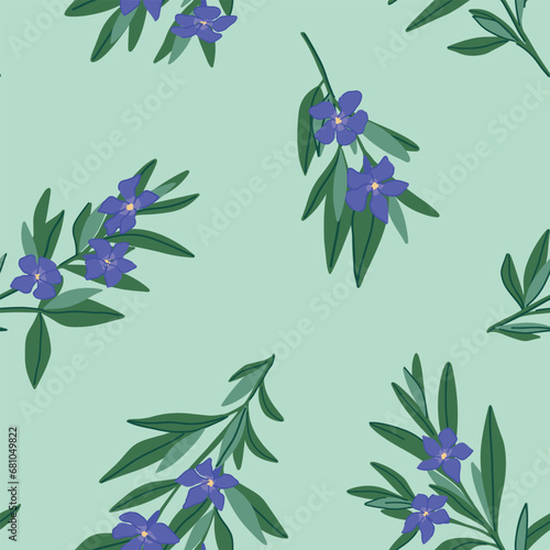 Periwinkle plants seamless pattern. Vector ornament of Vinca minor flowers. Botanical design in cartoon style.