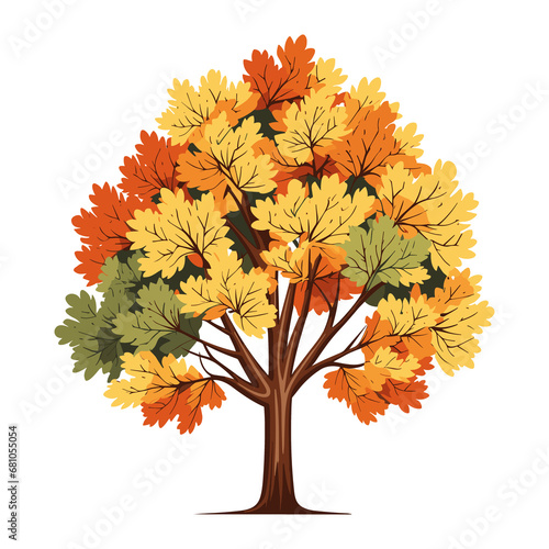 Autumn fall tree illustration  isolated on transparent background.