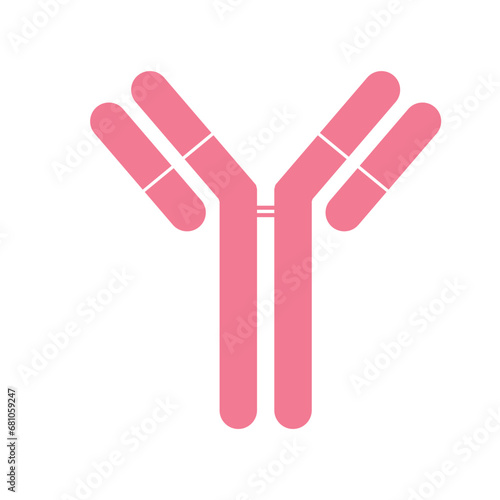 Single antibody immunoglobulin molecule. Schematic structure of an antibody. Scientific resources for teachers and students. Vector illustration isolated on white background. photo
