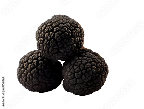 Exquisite Black Edible Winter Truffle, isolated on a transparent or white background