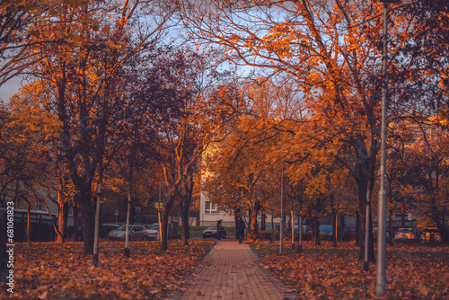 Person walking in the park