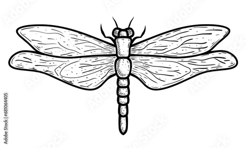 dragonfly sketch on white