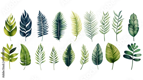 set of watercolor palm leaves isolated on white background