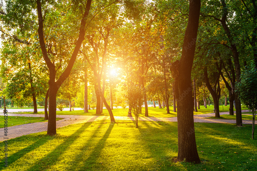 Φωτογραφία City park in summer or spring with pavement, green lawn and trees on a sunset or sunrise in Tashkent, Uzbekistan