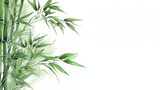 Bamboo, representing strength and growth, Chinese New Year symbols, watercolor style, white background, with copy space