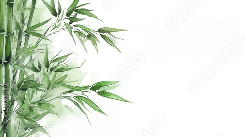 Bamboo  representing strength and growth  Chinese New Year symbols  watercolor style  white background  with copy space