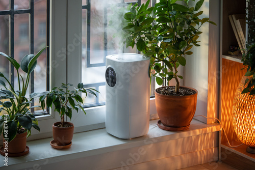 Ergonomical humidifier standing on window sill moisturizing dry air in room, house for comfort plants growth. Modern device having function of air cleaner, purifier, freshener, ionizer, vaporizer