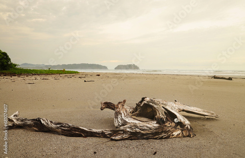 Beautiful beach view with artistic wood left on a sand. Costa Rica. tropical beach.