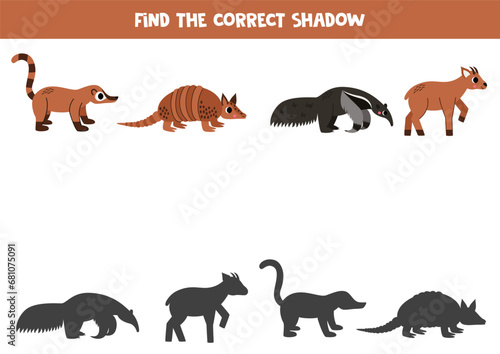 Fototapeta Naklejka Na Ścianę i Meble -  Find shadows of cute south American animals. Educational logical game for kids.