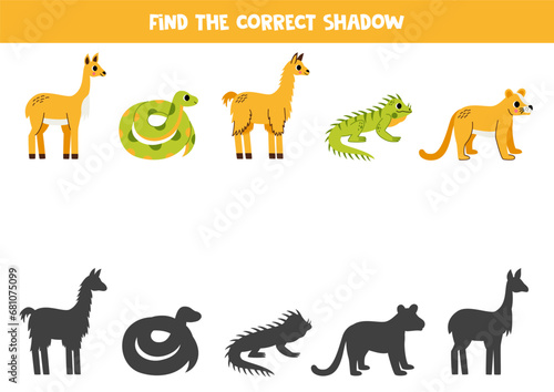 Find shadows of cute south American animals. Educational logical game for kids.