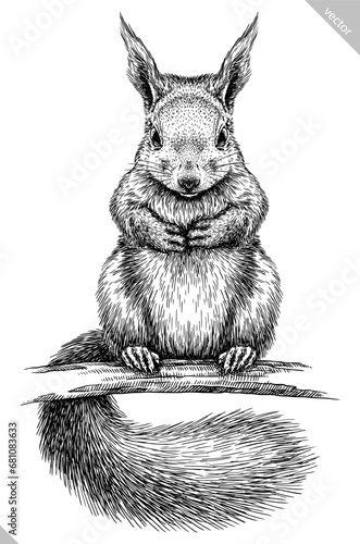 Vintage engraving isolated squirrel set illustration ink sketch. Forest background animal silhouette art. Black and white hand drawn vector image
