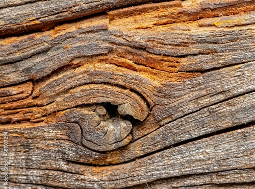 Aged brown wood background