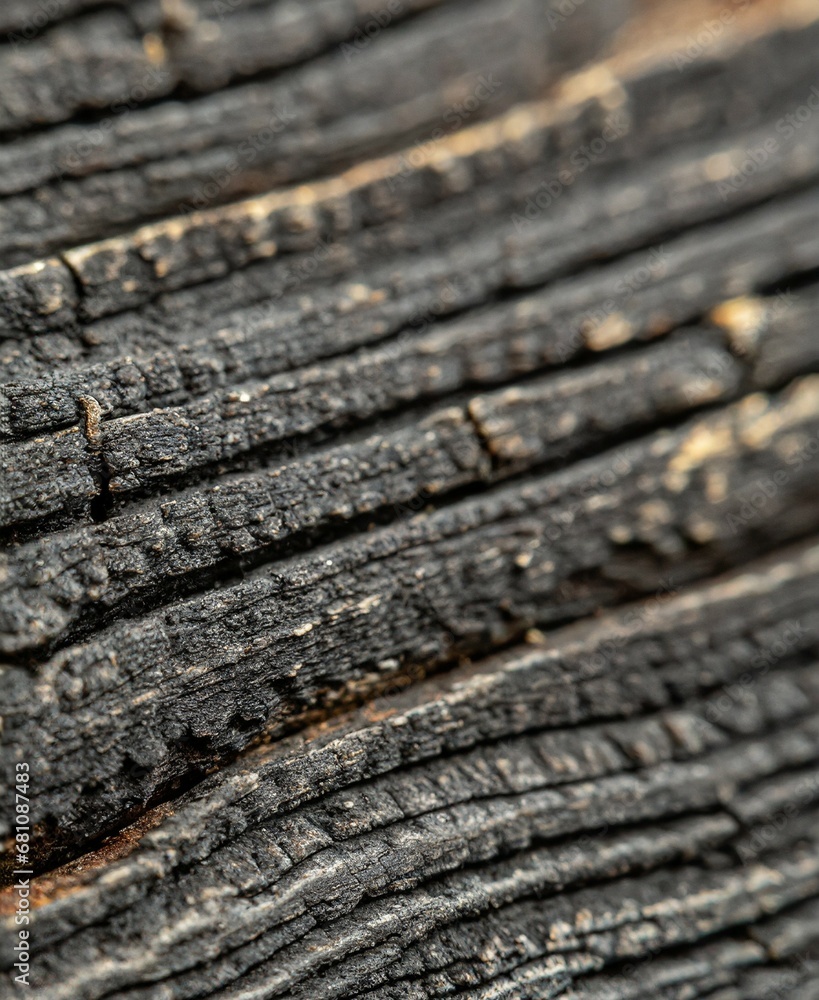 Black wood background Black wood background