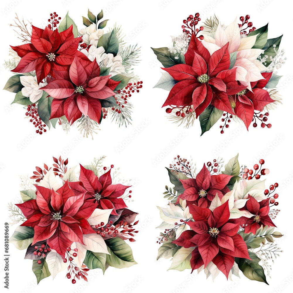 Clipart of a Christmas red flower poinsettia bouquet isolated on a white background, suitable for decorating during the winter holiday season.