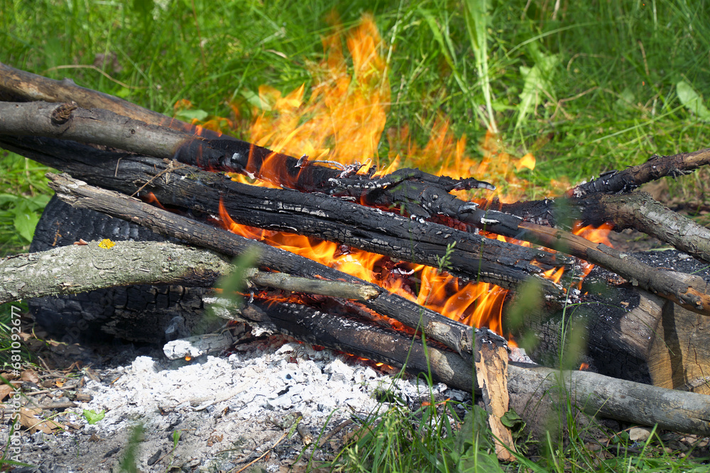 View of the burning campfire in the camp. Campfire in the green grass View of the burning campfire in the camp. Campfire in the green grass