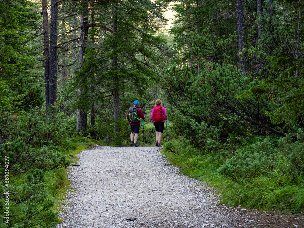 Obraz premium Trekking scene in the forest