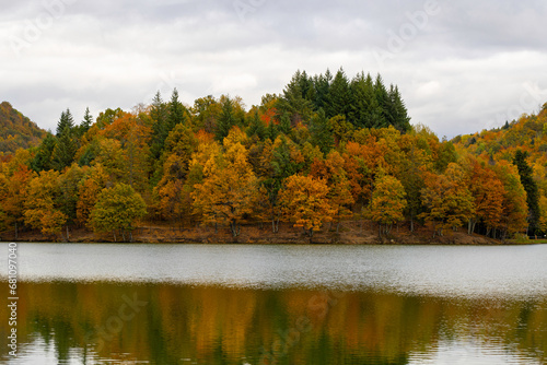 fall foliage forest reflecting in the still surface of lake water, Beautiful Autumn foliage colors above water.
