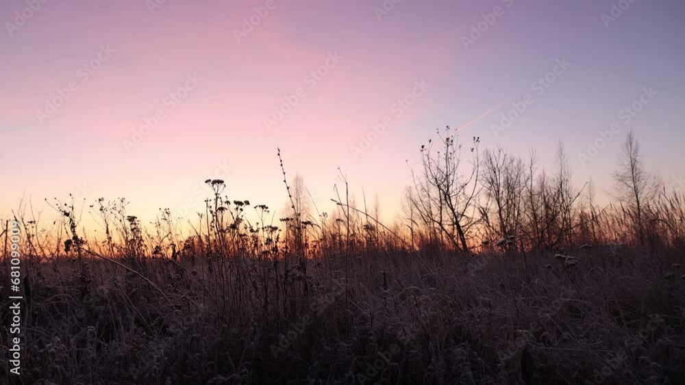 Golden hour before sunrise over a meadow in late autumn Golden hour before sunrise over a meadow in late autumn