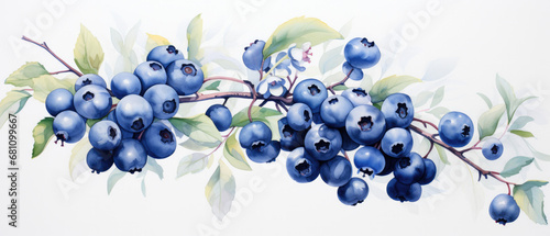 Huckleberry's watercolor melody—on the canvas, hues of deep purple and calming blue compose a serene song. photo