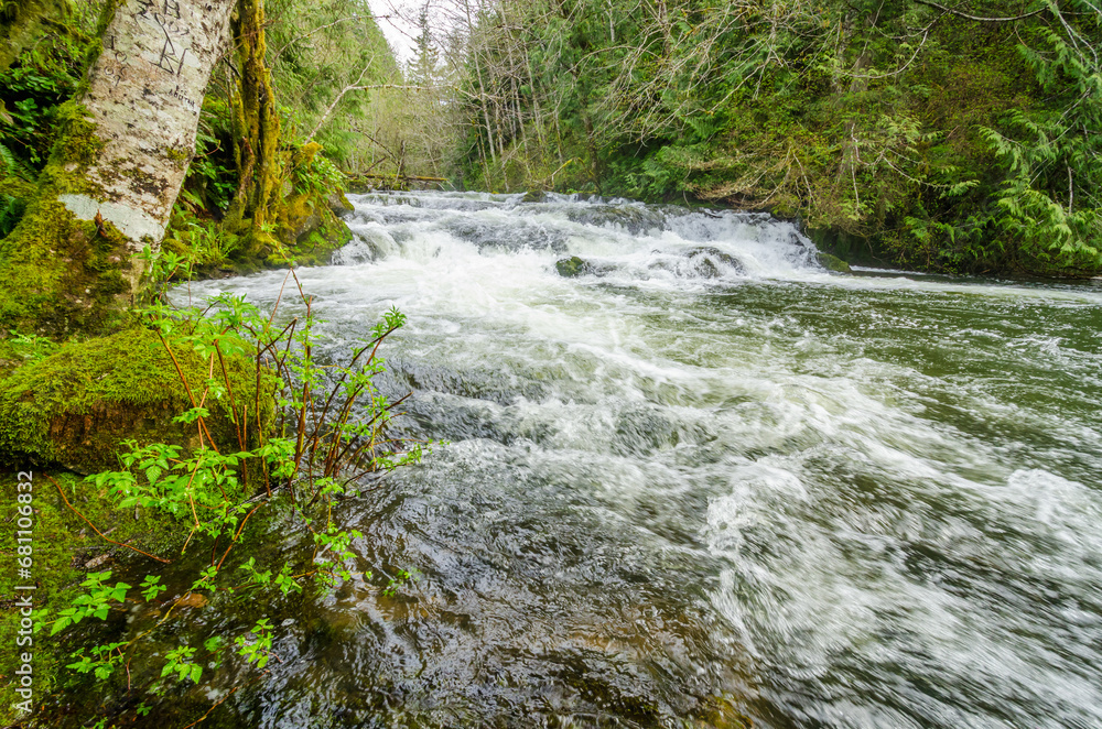 mountain river with forest background in Vancouver, Canada, North America. mountain river with forest background in Vancouver, Canada, North America.