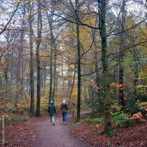 couple walks through colorful autumn park near utrecht in the netherlands