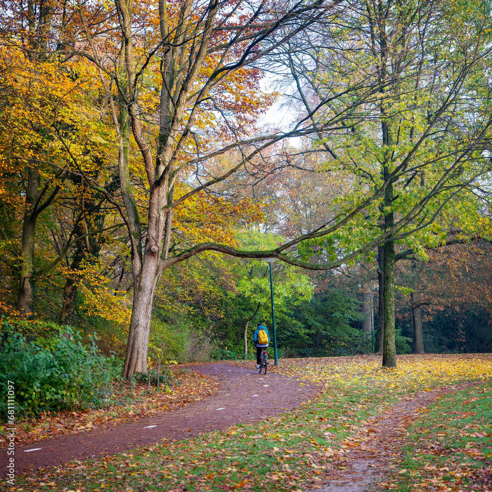 girl rides bike through park in autumn colors near utrecht in the netherlands