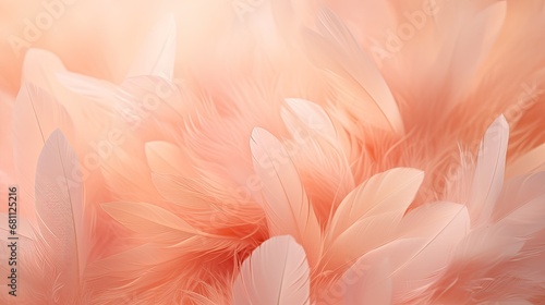 A blend of pastel peach and coral feathers with gradient effect on a light airy canvas. photo