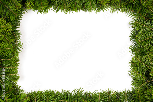 Fir tree branch frame on white