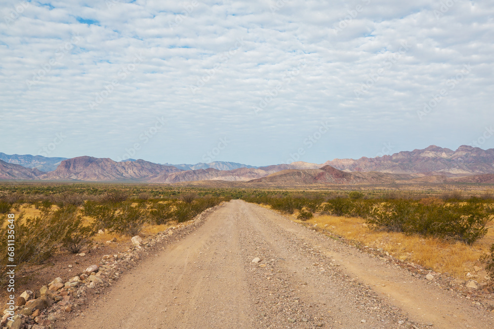 Road in Baja Road in Baja