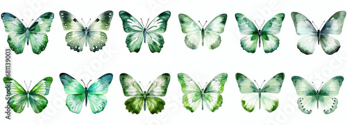 green watercolor aquarelle butterfly set butterflies isolated on transparent background clipart photo