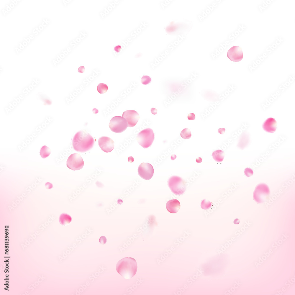 Rose Petals Flying Confetti. Blooming Cosmetics Ad Beautiful Floral
