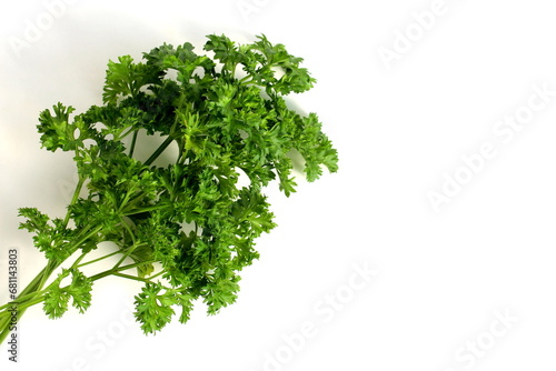 A bunch of fresh parsley lies on a white background.