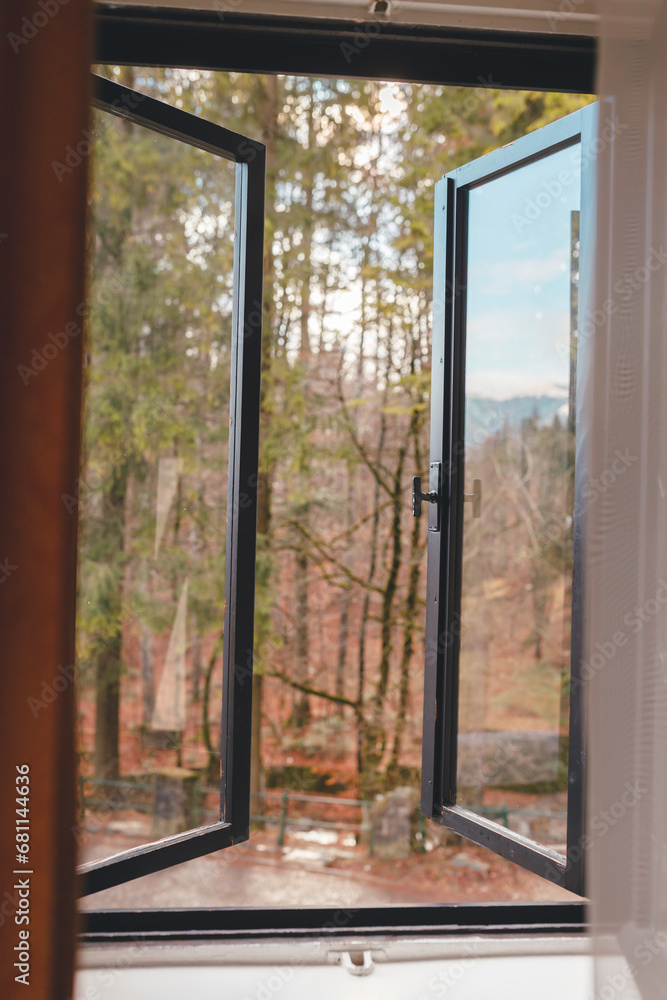 An Open Window Revealing the Enchanting Forest Surrounding Peles Castle Sinaia An Open Window Revealing the Enchanting Forest Surrounding Peles Castle Sinaia