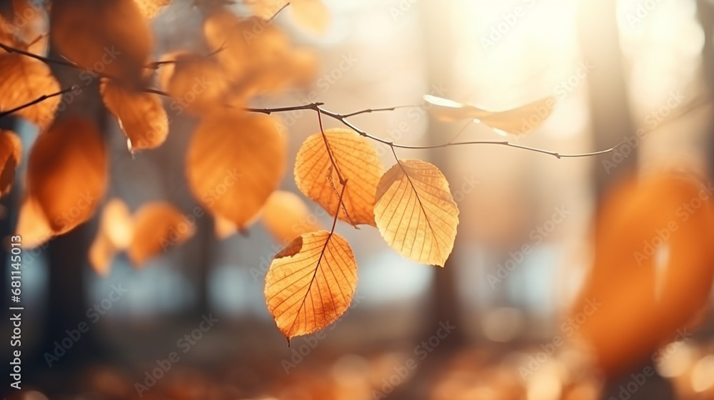An autumn landscape with yellow leaves in a forest An autumn landscape with yellow leaves in a forest